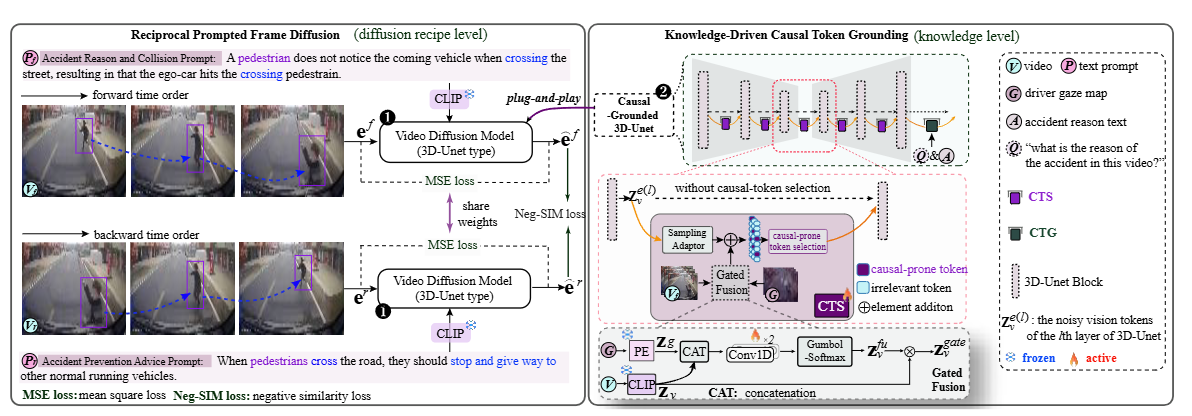 Causal-VidSyn training schema