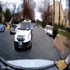 GIF 3