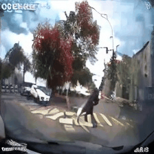 GIF 4