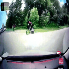GIF 5