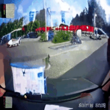 GIF 6